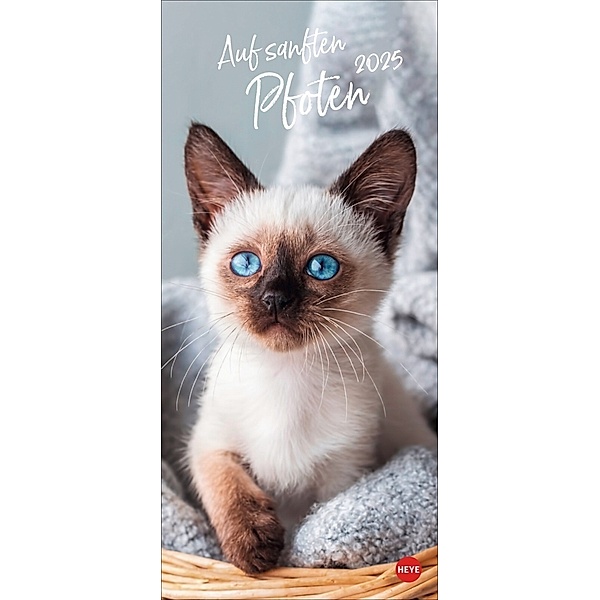 Katzen slim - Auf sanften Pfoten Kalender 2025