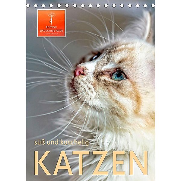 Katzen - süß und kuschelig (Tischkalender 2023 DIN A5 hoch), Peter Roder