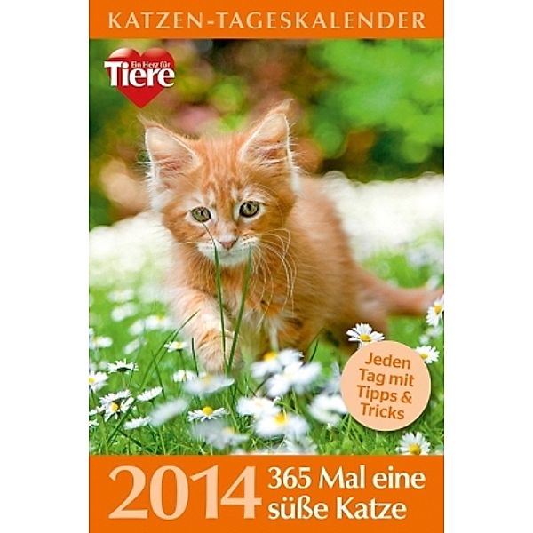 Katzen-Tageskalender 2014