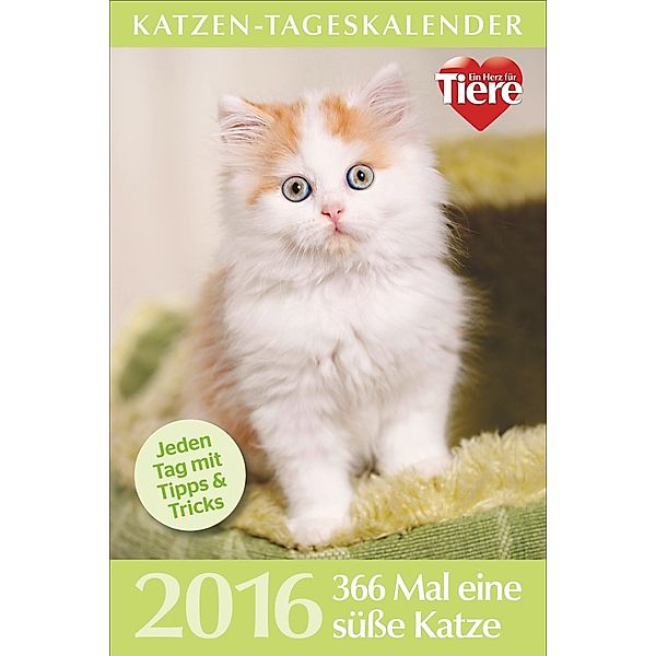 Katzen-Tageskalender 2016