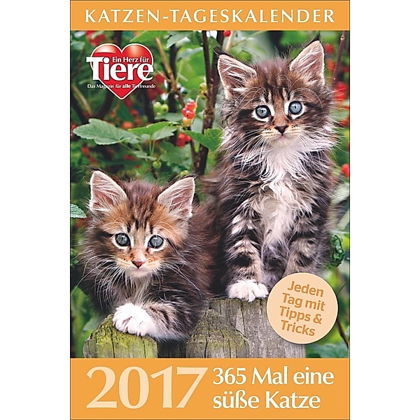 Katzen-Tageskalender 2017