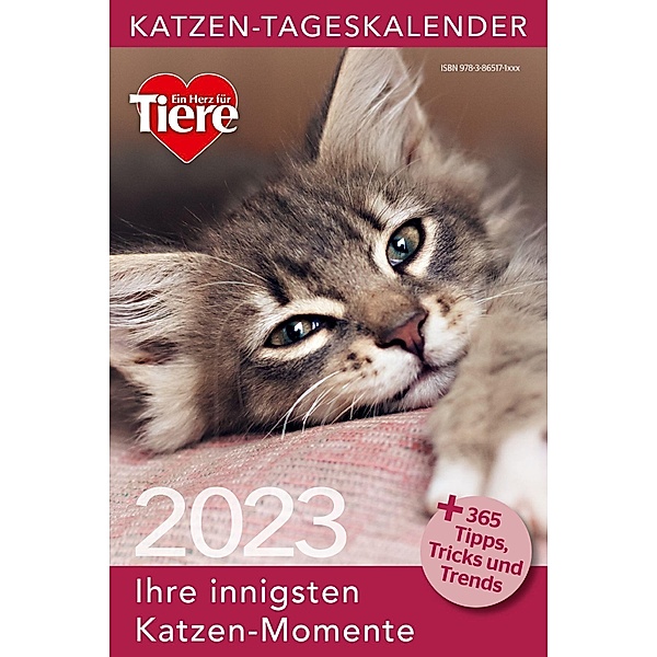 Katzen Tageskalender 2023