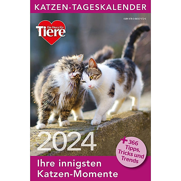 Katzen Tageskalender 2024