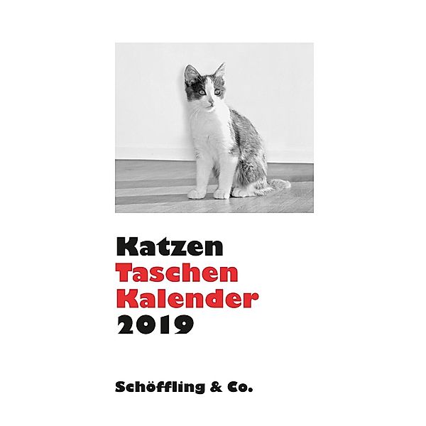 Katzen Taschenkalender 2019