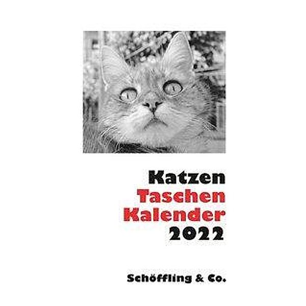 Katzen Taschenkalender 2022