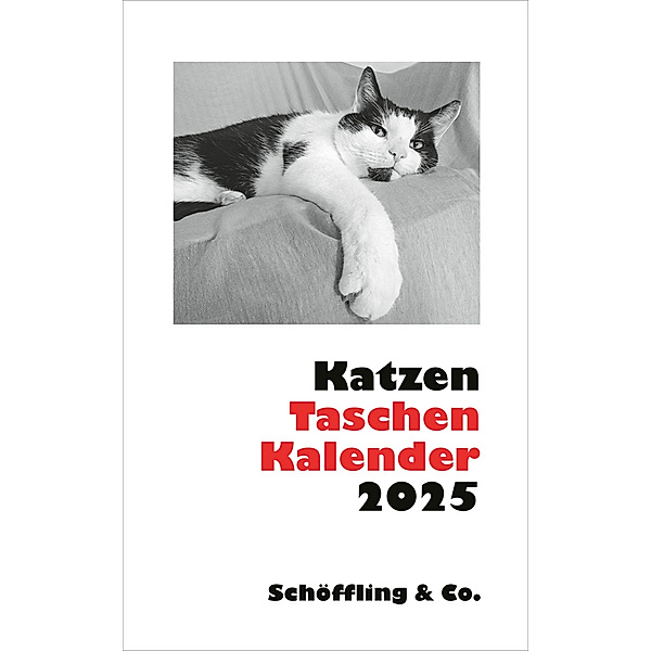 Katzen Taschenkalender 2025, Julia Bachstein