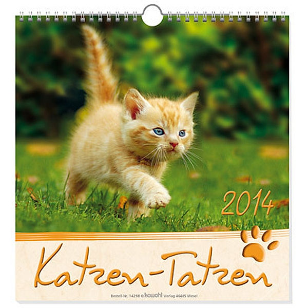 Katzen-Tatzen 2022