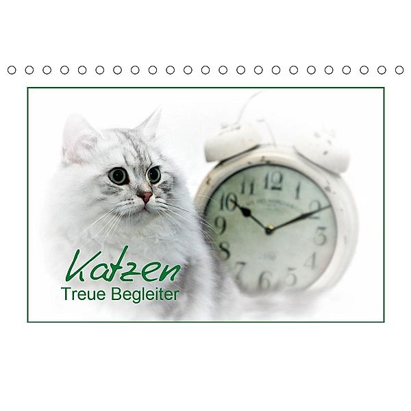 Katzen - Treue Begleiter (CH - Version) (Tischkalender 2021 DIN A5 quer), Melanie Viola