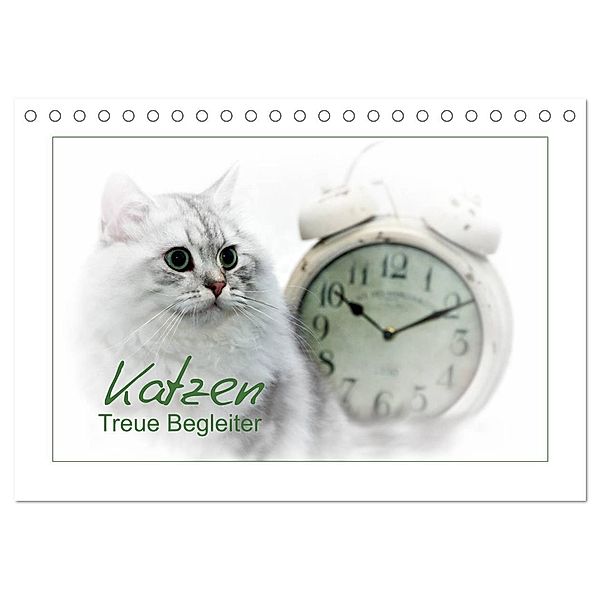 Katzen - Treue Begleiter (CH - Version) (Tischkalender 2025 DIN A5 quer), CALVENDO Monatskalender, Calvendo, Melanie Viola