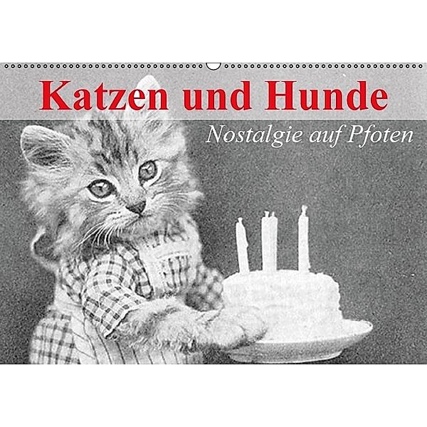 Katzen und Hunde - Nostalgie auf Pfoten (Wandkalender immerwährend DIN A2 quer), Elisabeth Stanzer