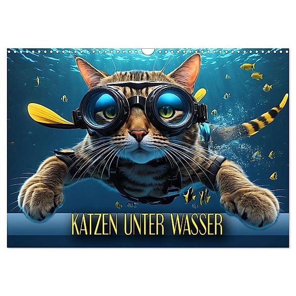 Katzen unter Wasser (Wandkalender 2024 DIN A3 quer), CALVENDO Monatskalender, Calvendo, Renate Utz