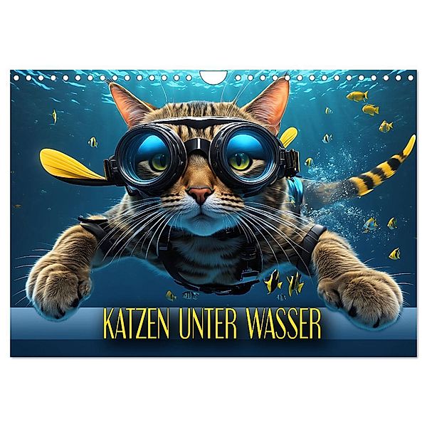 Katzen unter Wasser (Wandkalender 2024 DIN A4 quer), CALVENDO Monatskalender, Calvendo, Renate Utz