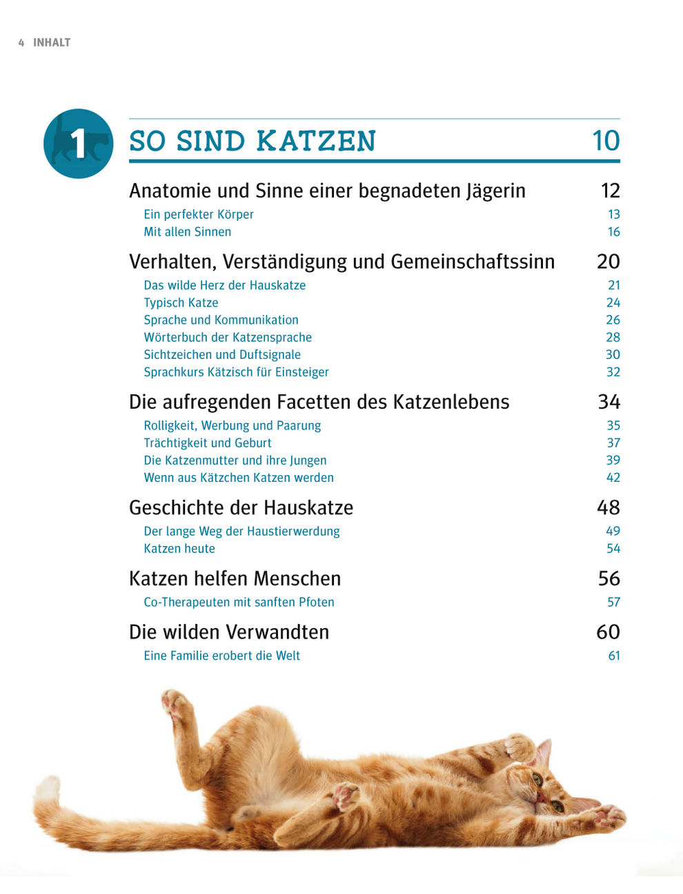Katzen - Verhalten, Pflege, Ernährung, Beschäftigung - Weltbild-Ausgabe