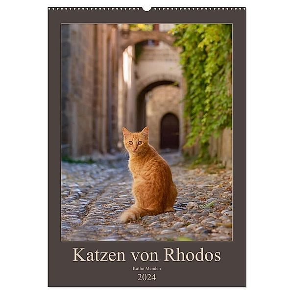 Katzen von Rhodos (Wandkalender 2024 DIN A2 hoch), CALVENDO Monatskalender, Katho Menden