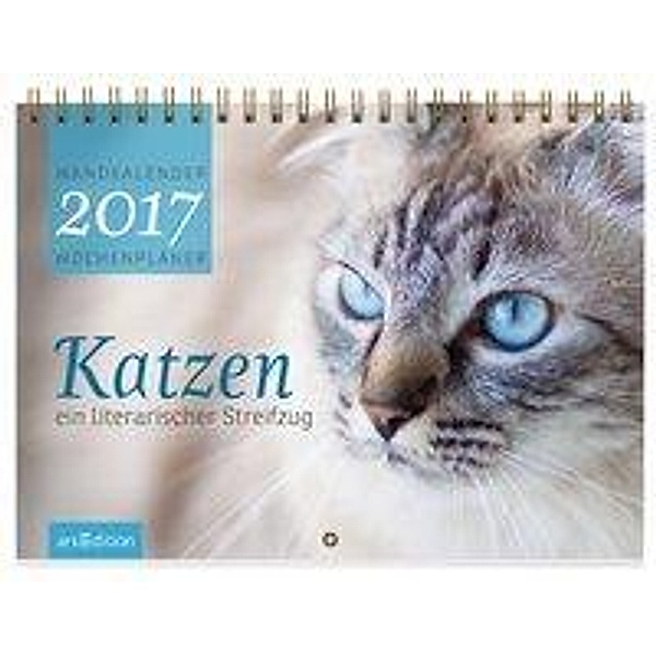 Katzen, Wandkalender 2017