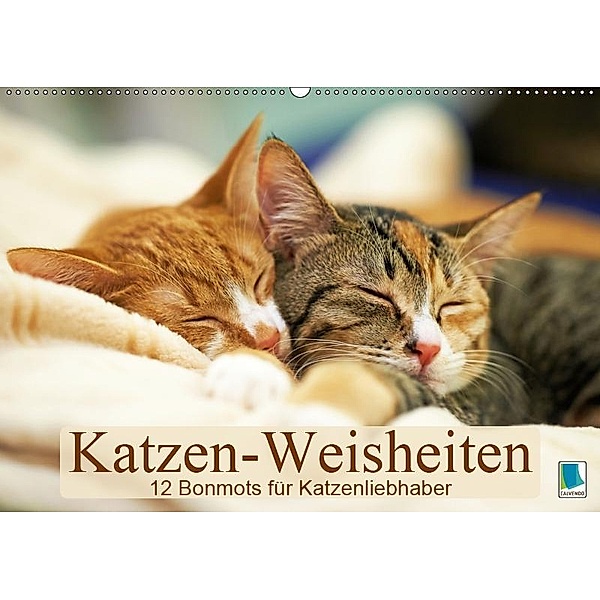 Katzen-Weisheiten: 12 Bonmots für Katzenliebhaber (Wandkalender 2019 DIN A2 quer), CALVENDO