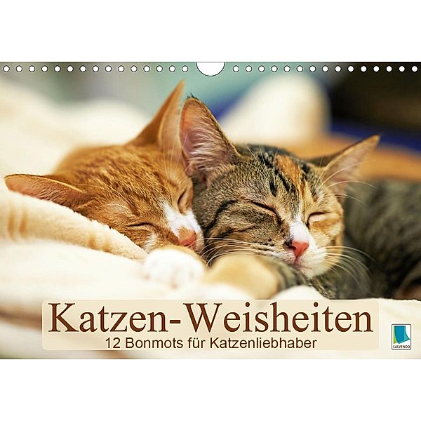 Katzen-Weisheiten: 12 Bonmots für Katzenliebhaber (Wandkalender 2020 DIN A4 quer)