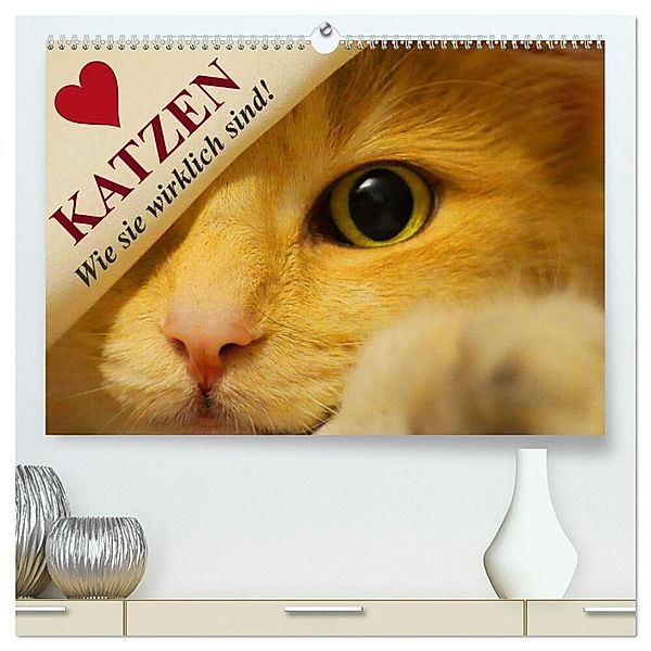 Katzen - Wie sie wirklich sind! (hochwertiger Premium Wandkalender 2024 DIN A2 quer), Kunstdruck in Hochglanz, Elisabeth Stanzer