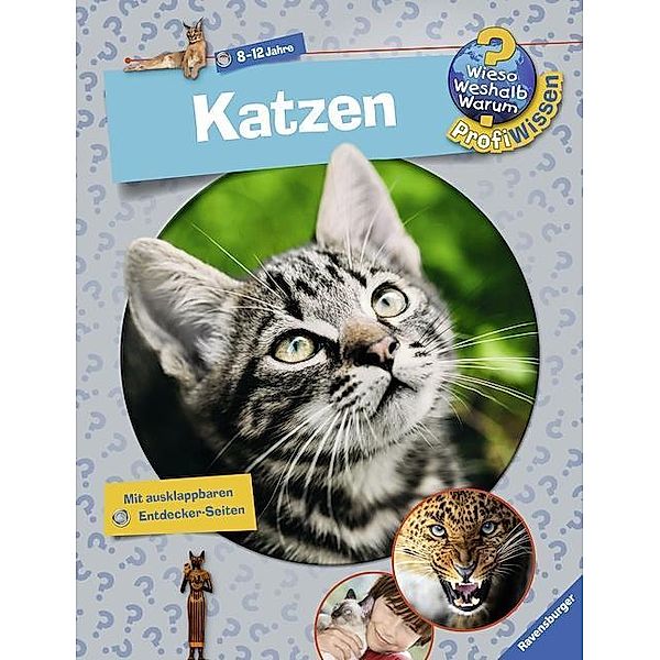 Katzen / Wieso? Weshalb? Warum? - Profiwissen Bd.18, Andrea Schwendemann