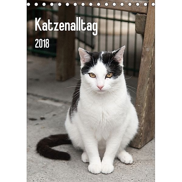 Katzenalltag 2018 (Tischkalender 2018 DIN A5 hoch), Daniela Scholz