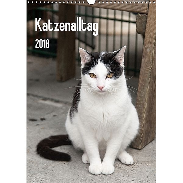 Katzenalltag 2018 (Wandkalender 2018 DIN A3 hoch), Daniela Scholz