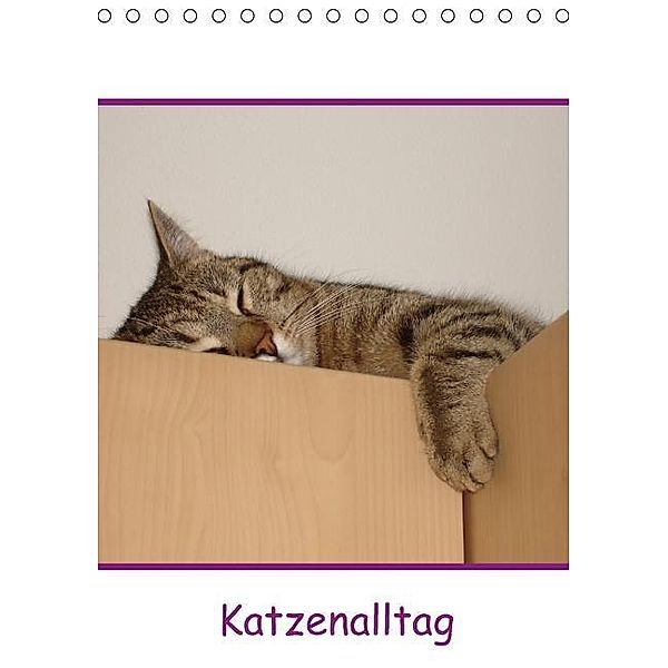 Katzenalltag / Geburtstagskalender (Tischkalender 2016 DIN A5 hoch), Karin Eickenberg