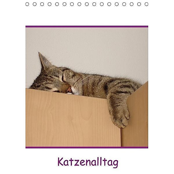 Katzenalltag / Geburtstagskalender (Tischkalender 2017 DIN A5 hoch), Karin Eickenberg