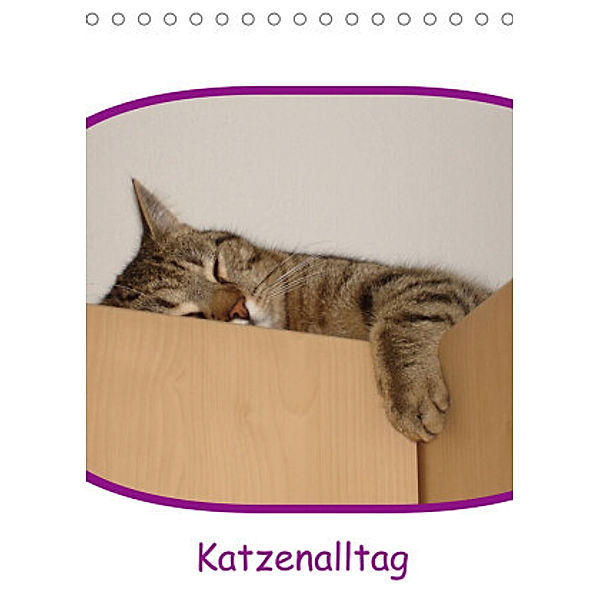 Katzenalltag / Geburtstagskalender (Tischkalender 2022 DIN A5 hoch), Karin Eickenberg
