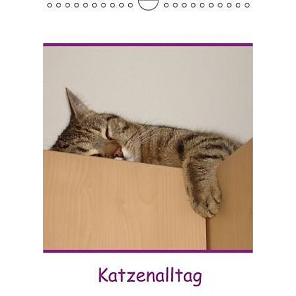 Katzenalltag / Geburtstagskalender (Wandkalender 2016 DIN A4 hoch), Karin Eickenberg