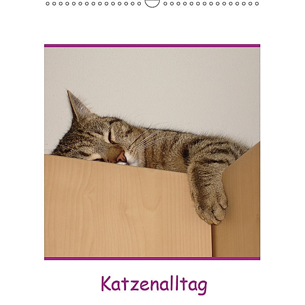 Katzenalltag / Geburtstagskalender (Wandkalender 2019 DIN A3 hoch), Karin Eickenberg