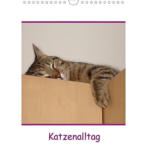 Katzenalltag / Geburtstagskalender (Wandkalender 2020 DIN A4 hoch), Karin Eickenberg