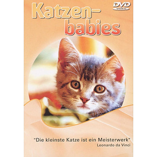 Katzenbabies, Diverse Interpreten