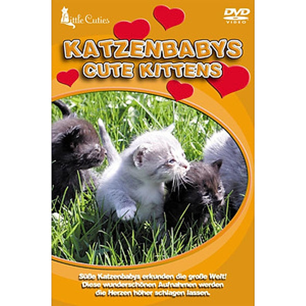 Katzenbabys, Diverse Interpreten