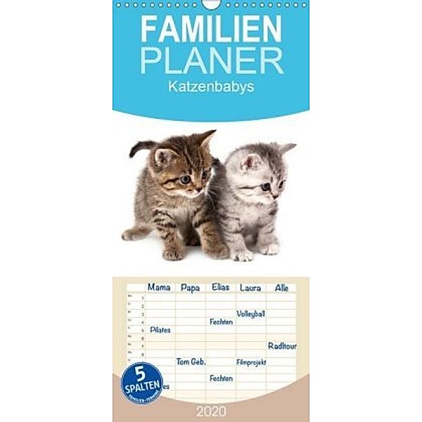 Katzenbabys - Familienplaner hoch (Wandkalender 2020 , 21 cm x 45 cm, hoch)