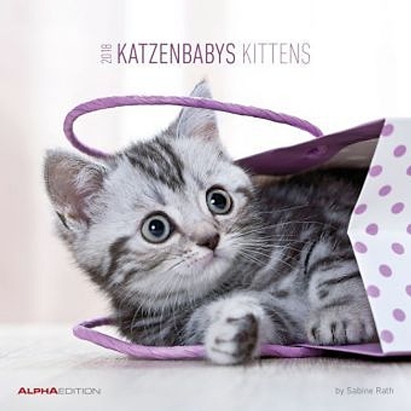 Katzenbabys / Kittens 2018, Sabine Rath