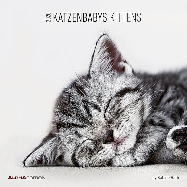 Katzenbabys /Kittens 2020, Sabine Rath