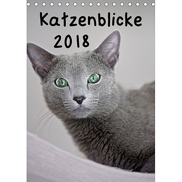 Katzenblicke 2018 (Tischkalender 2018 DIN A5 hoch), Heidi Bollich