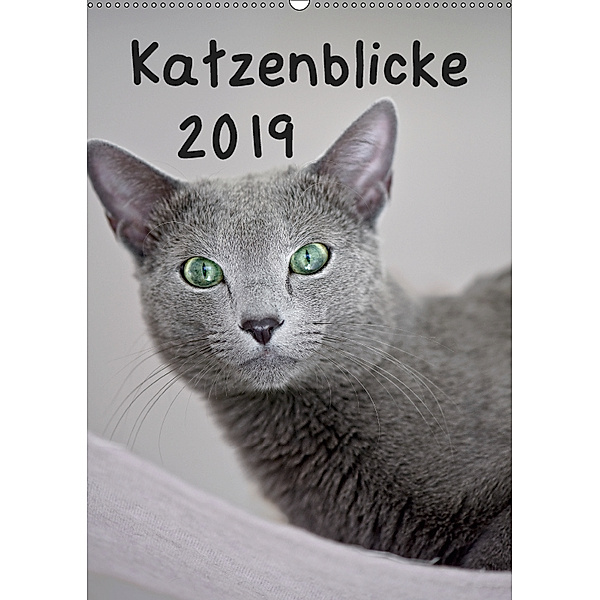 Katzenblicke 2019 (Wandkalender 2019 DIN A2 hoch), Heidi Bollich