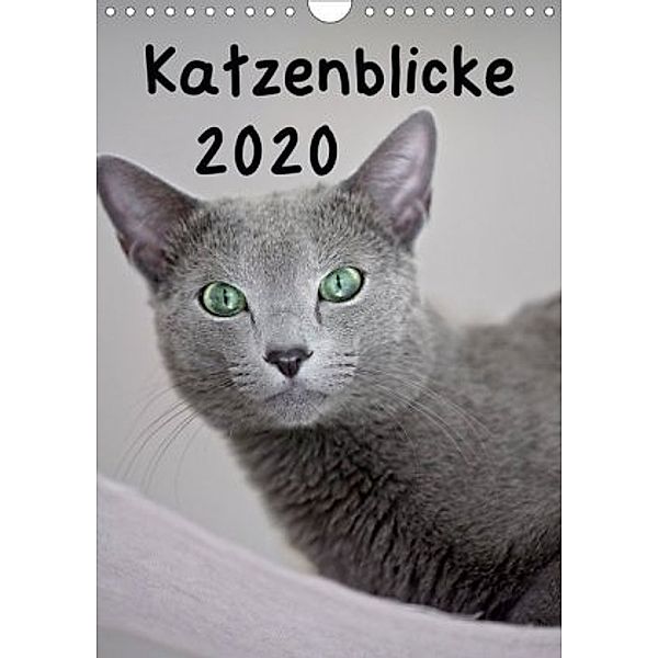 Katzenblicke 2020 (Wandkalender 2020 DIN A4 hoch), Heidi Bollich