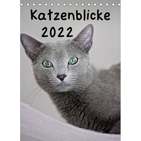 Katzenblicke 2022 (Tischkalender 2022 DIN A5 hoch), Heidi Bollich