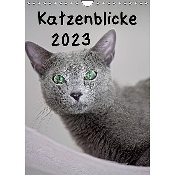 Katzenblicke 2023 (Wandkalender 2023 DIN A4 hoch), Heidi Bollich