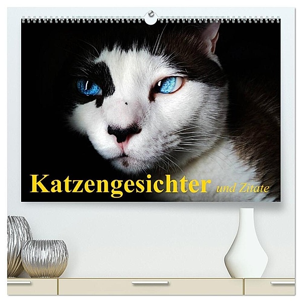 Katzengesichter und Zitate (hochwertiger Premium Wandkalender 2024 DIN A2 quer), Kunstdruck in Hochglanz, Elisabeth Stanzer