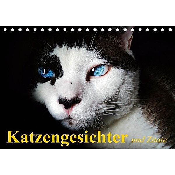 Katzengesichter und Zitate (Tischkalender 2020 DIN A5 quer), Elisabeth Stanzer