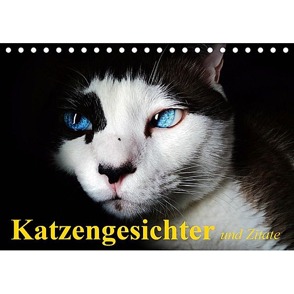 Katzengesichter und Zitate (Tischkalender 2021 DIN A5 quer), Elisabeth Stanzer