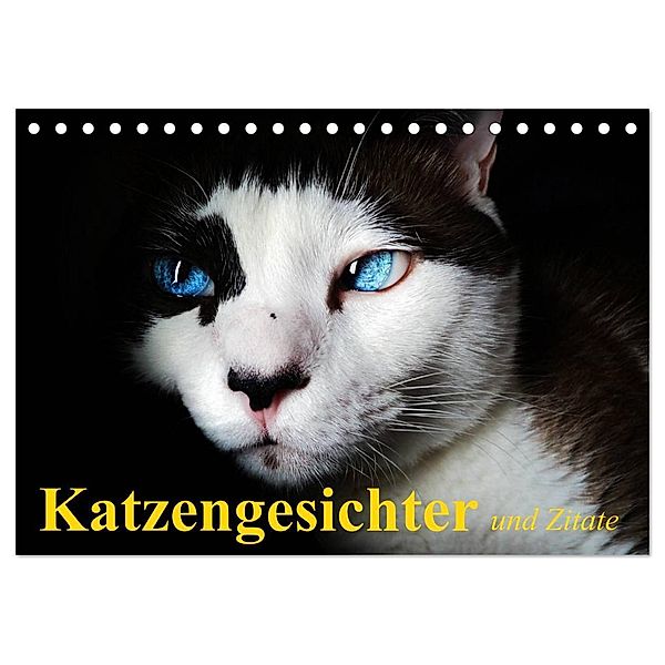 Katzengesichter und Zitate (Tischkalender 2024 DIN A5 quer), CALVENDO Monatskalender, Elisabeth Stanzer