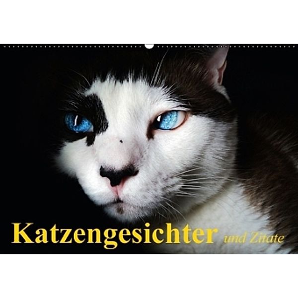 Katzengesichter und Zitate (Wandkalender 2016 DIN A2 quer), Elisabeth Stanzer