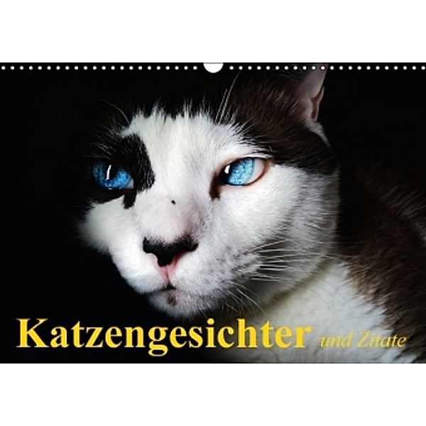 Katzengesichter und Zitate (Wandkalender 2016 DIN A3 quer), Elisabeth Stanzer