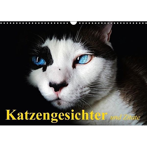 Katzengesichter und Zitate (Wandkalender 2017 DIN A3 quer), Elisabeth Stanzer