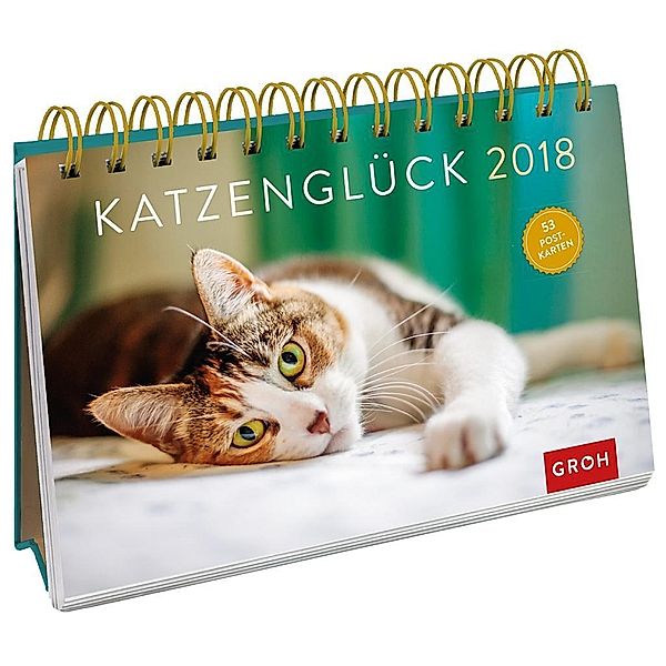 Katzenglück 2018