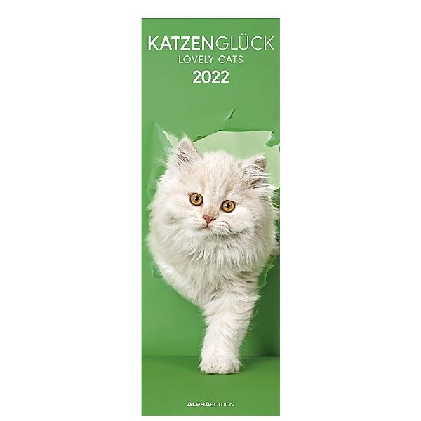 Katzenglück 2022